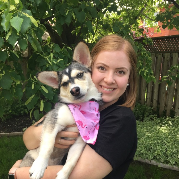 Meet your Posher, Sophie - Picture 1 of 1